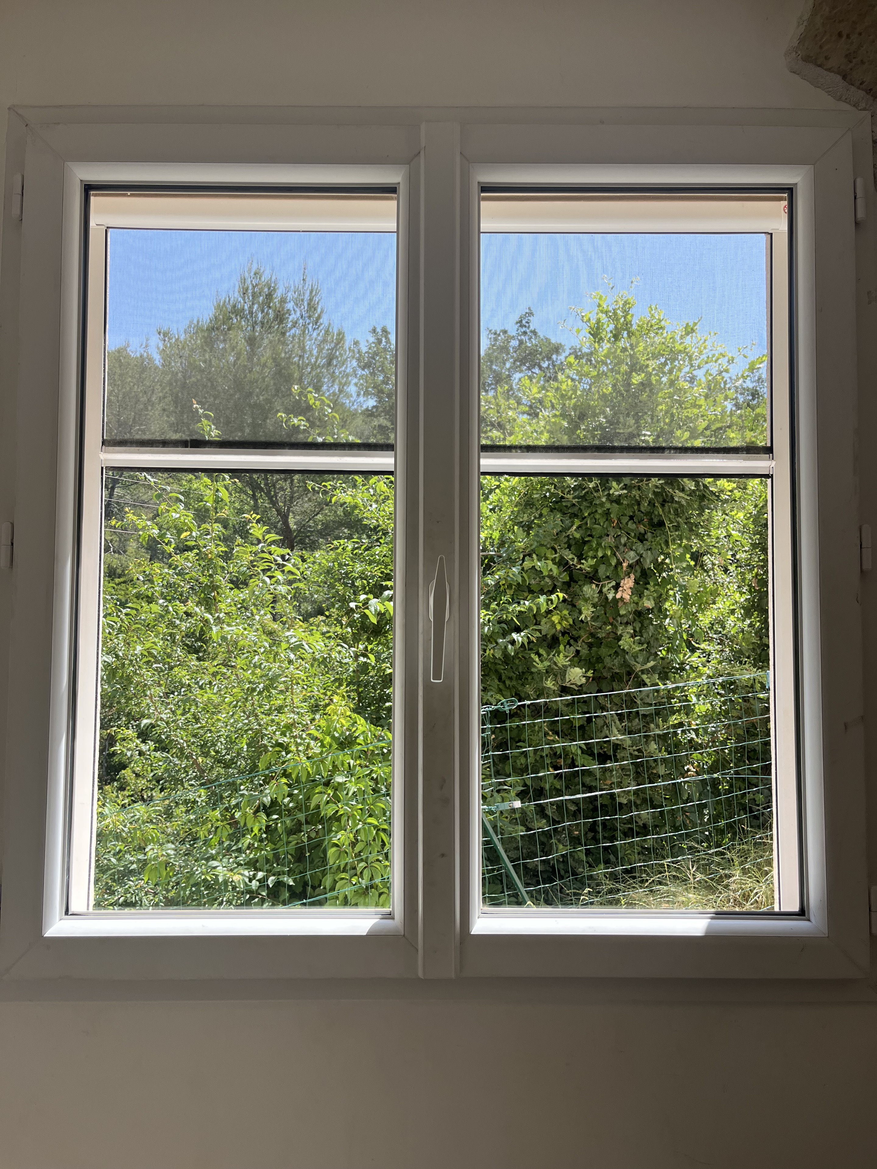 Fenêtre nettoyée avec vue dégagée sur un jardin